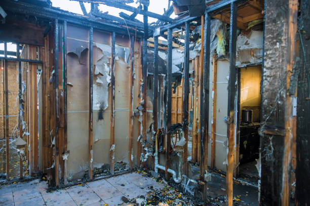 Professional Fire Damage Removal technician working in Apollo Beach, FL