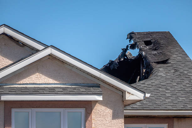 Top rated local Fire Damage Removal specialists in Apollo Beach, FL